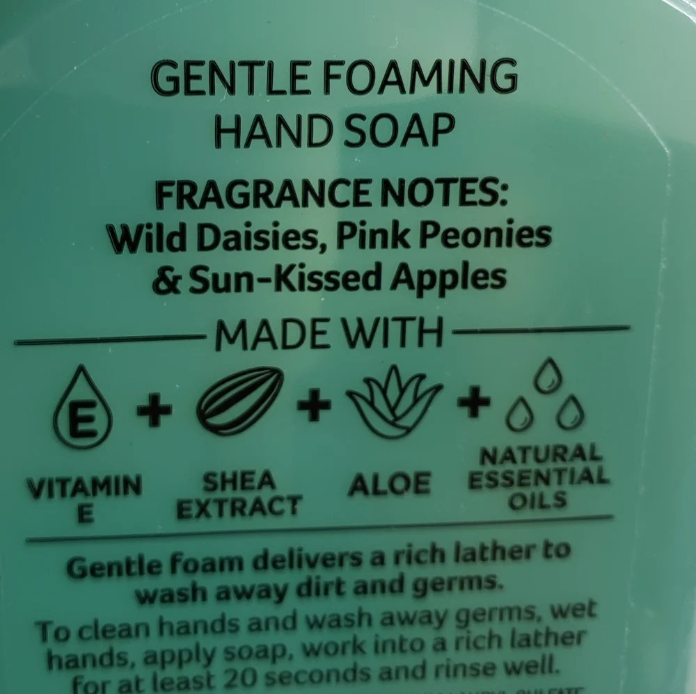 BBW BEAUTIFUL DAY GENTLE FOAMING HAND SOAP X5